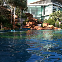 фото из отзыва ID 457521