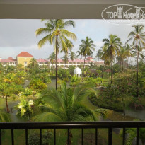 фото из отзыва ID 457573