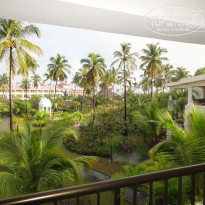 фото из отзыва ID 457573