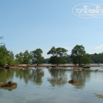 фото из отзыва ID 457722