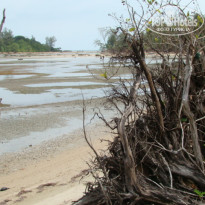 фото из отзыва ID 457722