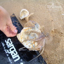 фото из отзыва ID 457722