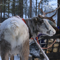 фото из отзыва ID 457803