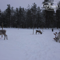 фото из отзыва ID 457803