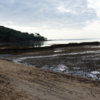 фото из отзыва ID 457942