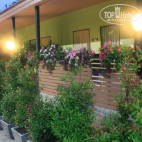 фото из отзыва ID 458129