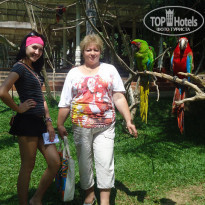 фото из отзыва ID 458137