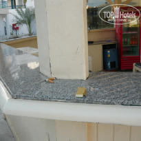 фото из отзыва ID 458155