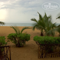 фото из отзыва ID 458292