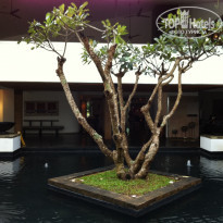 фото из отзыва ID 458292