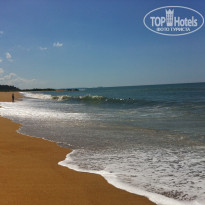 фото из отзыва ID 458292