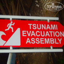 фото из отзыва ID 458137