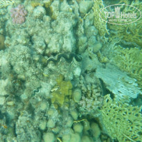 фото из отзыва ID 458479