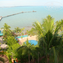 фото из отзыва ID 458598