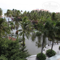 фото из отзыва ID 458628