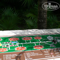 фото из отзыва ID 458642