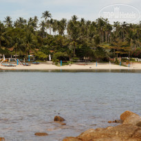 фото из отзыва ID 458664