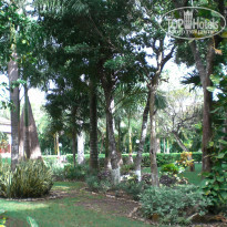 фото из отзыва ID 458675