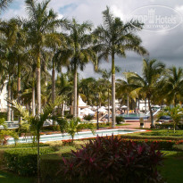 фото из отзыва ID 458678