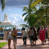 фото из отзыва ID 458678