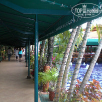 фото из отзыва ID 458685