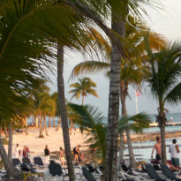 фото из отзыва ID 458685