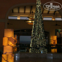 фото из отзыва ID 458688