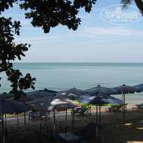 фото из отзыва ID 458898