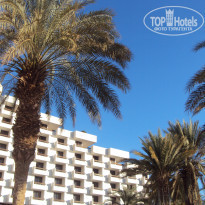 фото из отзыва ID 458974