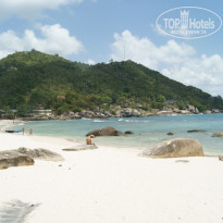 фото из отзыва ID 459020