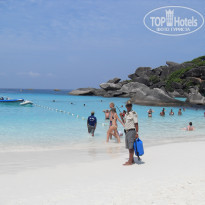 фото из отзыва ID 459127