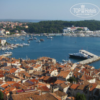 фото из отзыва ID 459139