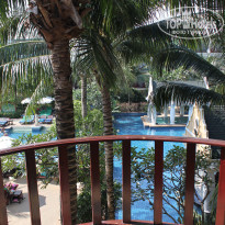 фото из отзыва ID 459200