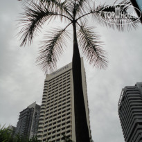 фото из отзыва ID 459487