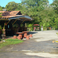 фото из отзыва ID 459781