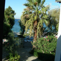 фото из отзыва ID 459814