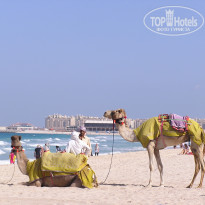 фото из отзыва ID 459744