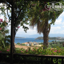 фото из отзыва ID 459987