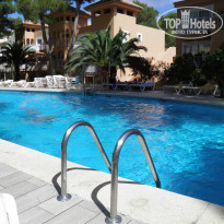 фото из отзыва ID 460302