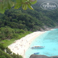 фото из отзыва ID 460775