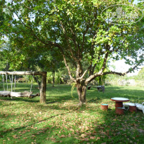 фото из отзыва ID 460849