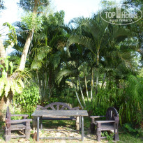 фото из отзыва ID 460849