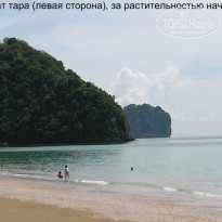 фото из отзыва ID 460849