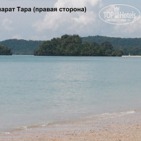 фото из отзыва ID 460849