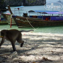 фото из отзыва ID 460849