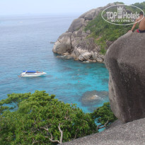 фото из отзыва ID 460775