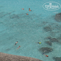 фото из отзыва ID 460775