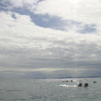 фото из отзыва ID 460775