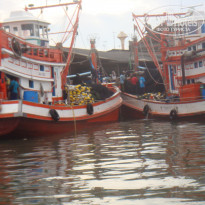 фото из отзыва ID 460775