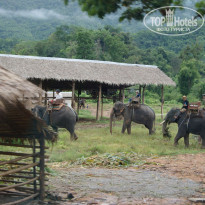 фото из отзыва ID 460893